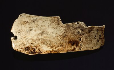 Wizerunek mamuta jest wyrzeźbiony na prehistorycznej kości słoniowej mamuta. autorstwa Sisse Brimberg