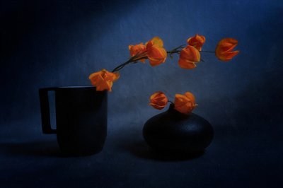 Jesienna martwa natura z lampionami autorstwa Siyu_Wei APA