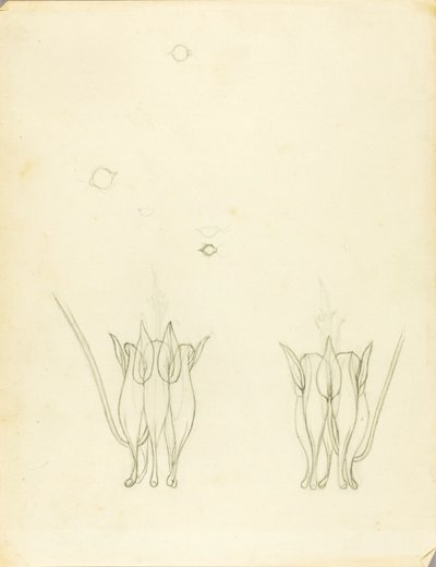 Akacje autorstwa Solon H. Borglum