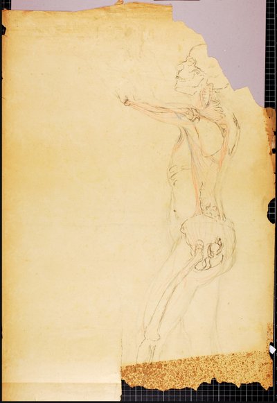 Badanie anatomii autorstwa Solon H. Borglum