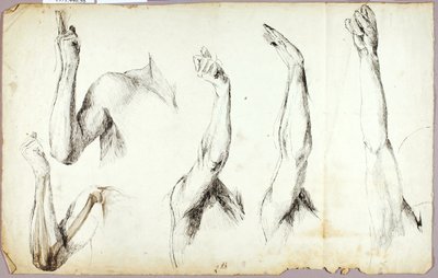 Arm Studies, #2 autorstwa Solon H. Borglum