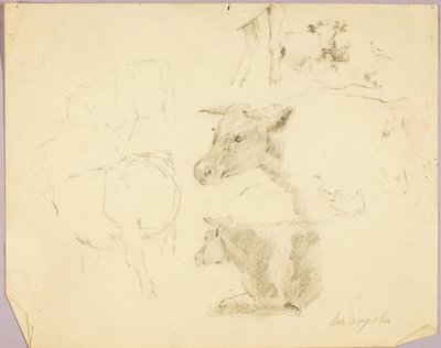 Krowy autorstwa Solon H. Borglum