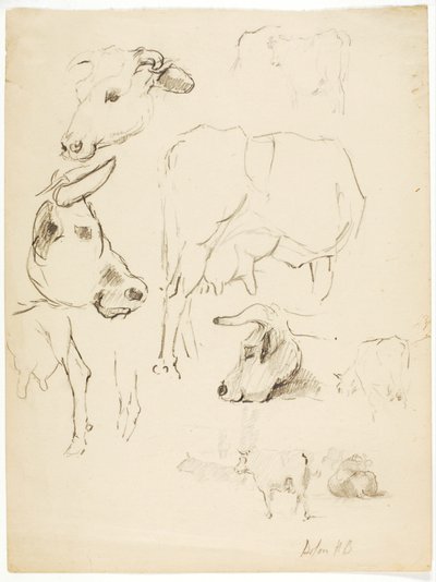 Krowy autorstwa Solon H. Borglum