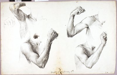 Four Arm Studies, #1 autorstwa Solon H. Borglum