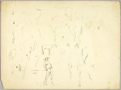 Badanie koni autorstwa Solon H. Borglum