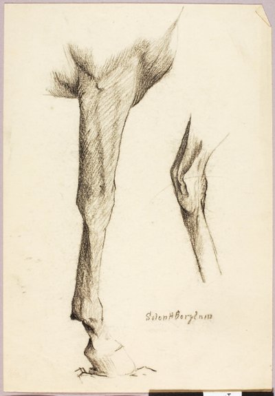Badanie koni autorstwa Solon H. Borglum