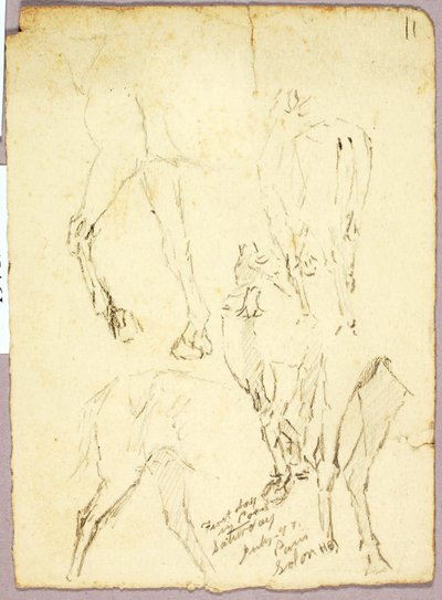 Konie autorstwa Solon H. Borglum