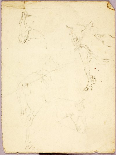 Konie autorstwa Solon H. Borglum
