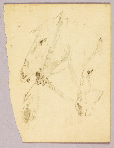 Głowy koni autorstwa Solon H. Borglum
