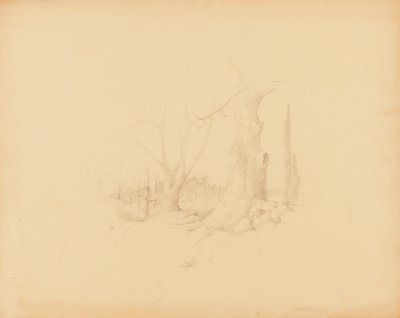 Krajobraz autorstwa Solon H. Borglum