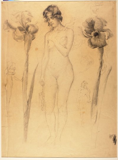 Nude i Iris autorstwa Solon H. Borglum
