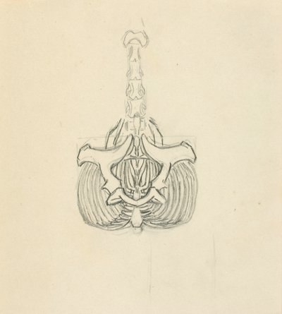 Miednica autorstwa Solon H. Borglum