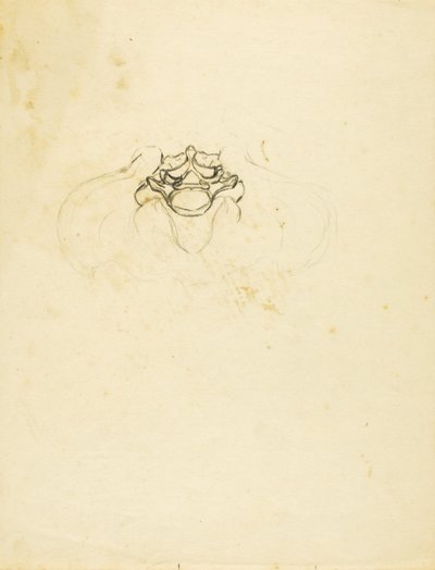 Miednica autorstwa Solon H. Borglum