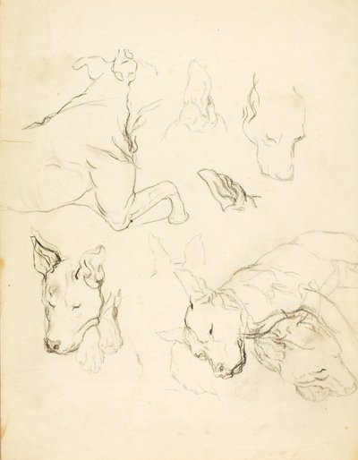 Sleeping Dogs autorstwa Solon H. Borglum