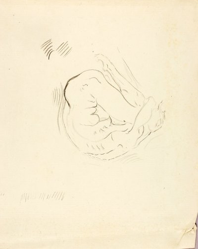 Pływak autorstwa Solon H. Borglum