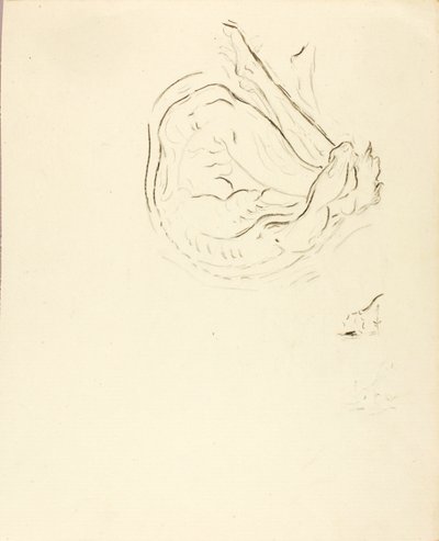 Pływak autorstwa Solon H. Borglum