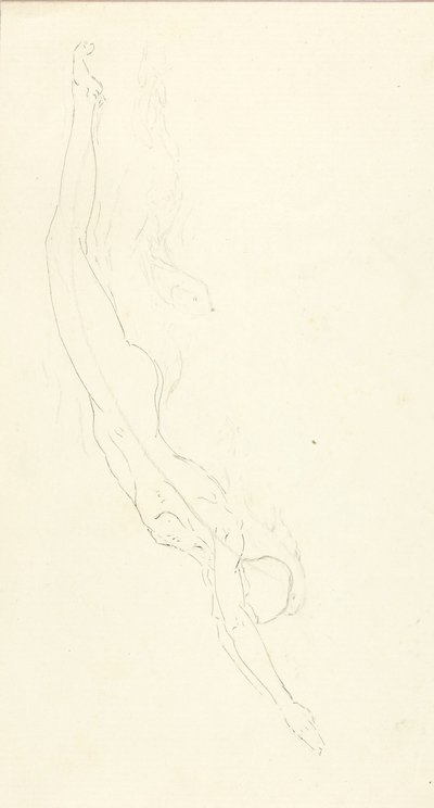 The Plunge #2 autorstwa Solon H. Borglum