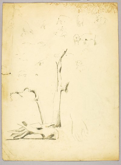 Pnie drzew i owce autorstwa Solon H. Borglum