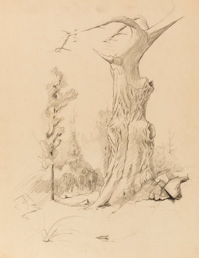 Bez tytułu autorstwa Solon H. Borglum
