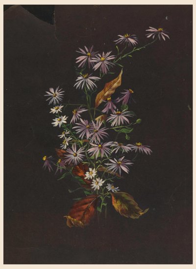 Bukiet Jesienny, ca. 1890 autorstwa Sophia L. Crownfield