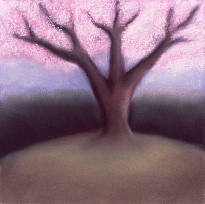 Kwitnące drzewo (pastel na papierze czerpanym) autorstwa Sophie Hacker