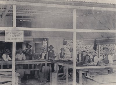 Sortowanie diamentów, Kopalnia Wesselton (zdjęcie czarno-białe) autorstwa South African Photographer