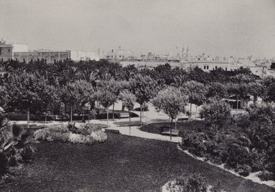 Kadyks: Parque Genoves (zdjęcie czarno-białe) autorstwa Spanish Photographer