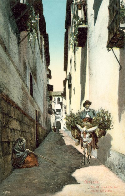 Granada, La Calle Del Horno Del Vidrio, Hiszpania (zdjęcie kolorowe) autorstwa Spanish Photographer