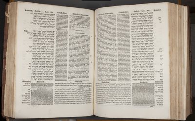 Complutensian Polyglot Bible, wydrukowana przez Arnao Guillen de Brocar (rycina) autorstwa Spanish School