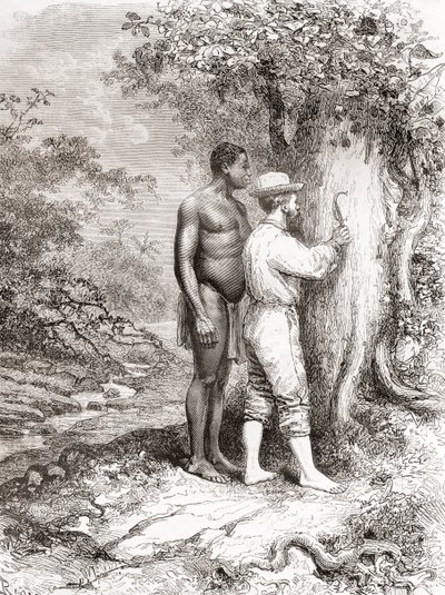 Jules Crevaux, podczas eksploracji Gujany Francuskiej w 1878 r., wyrył swoje inicjały na drzewie nad brzegiem rzeki Oyapock lub Oiapoque autorstwa Spanish School
