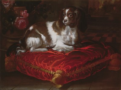 Spaniel na poduszce autorstwa Spanish School