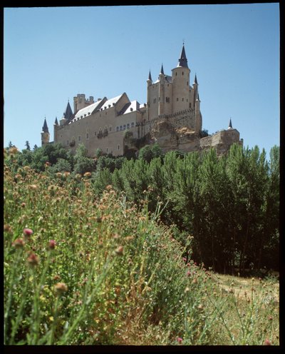 Widok na alcazar autorstwa Spanish School