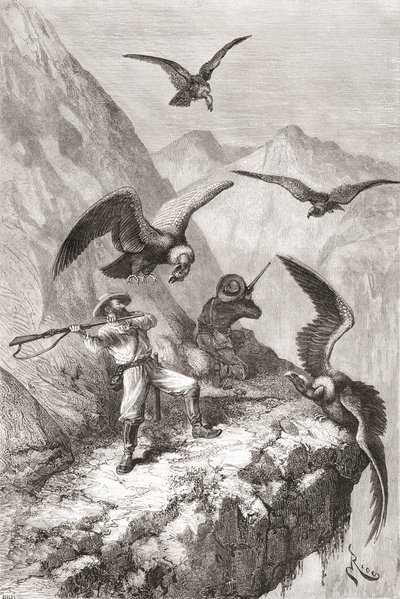 Édouard François André i towarzysz zaatakowany przez kondory w pobliżu Calacali w prowincji Pichincha w Ekwadorze podczas wyprawy botanicznej u podnóża Andów w latach 1875-76 autorstwa Spanish School