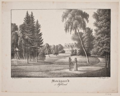 Moesgård w Jutlandii autorstwa Søren Henrik Petersen