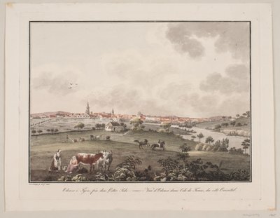 Odense na Fionii, od strony wschodniej autorstwa Søren L. Lange