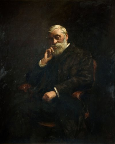 Portret starosty G J Johnsona 1826-1912, 1895. autorstwa Stanhope A Forbes