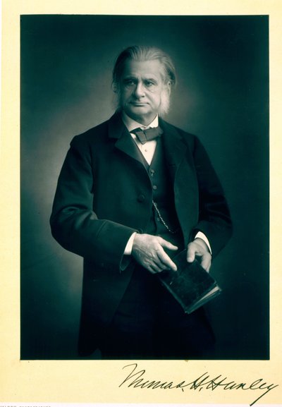 Profesor Thomas H. Huxley (1825-95), biolog, fotografia portretowa autorstwa Stanislaus Walery