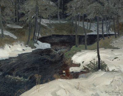 Bergstrom autorstwa Stefan Filipkiewicz