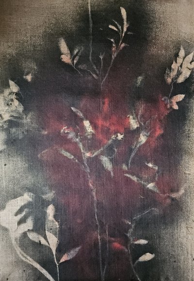 Ciemna botaniczna poświata autorstwa Stefano Mazzolini