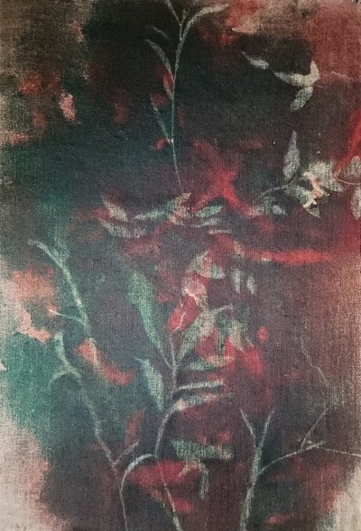 Ciemny botaniczny spokój autorstwa Stefano Mazzolini