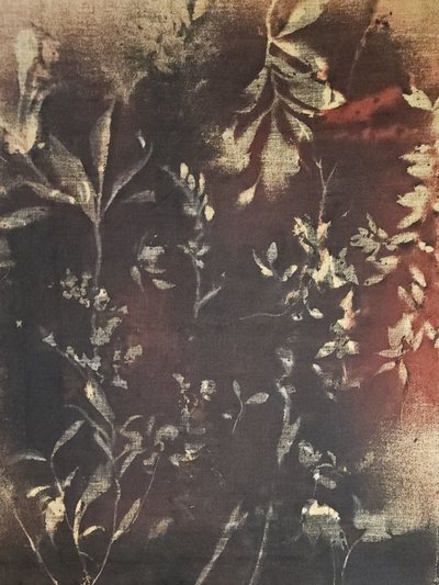 Ciemne studium botaniczne autorstwa Stefano Mazzolini