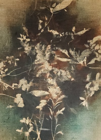 Ciemne eteryczne motywy botaniczne autorstwa Stefano Mazzolini