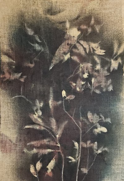 Wyblakłe formy botaniczne autorstwa Stefano Mazzolini