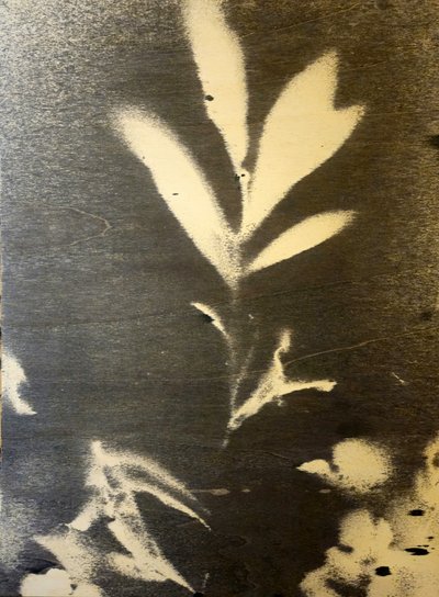 Wyrazista botaniczna sylwetka autorstwa Stefano Mazzolini