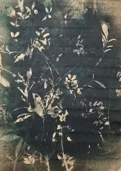 Botaniczne sylwetki vintage autorstwa Stefano Mazzolini