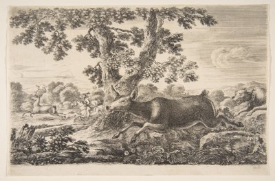 Polowanie na jelenie, z Polowania na zwierzęta Polowania na różne zwierzęta, ca. 1654. autorstwa Stefano della Bella