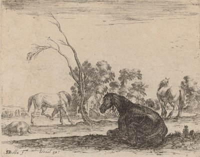 Konie na pastwisku, 1642. autorstwa Stefano della Bella