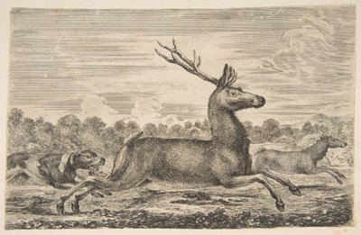 Ogary goniące jelenia i łanię, ca. 1654. autorstwa Stefano della Bella