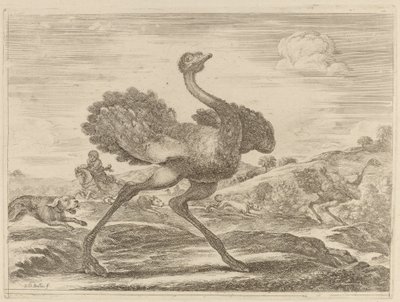 Polowanie na strusia. autorstwa Stefano della Bella