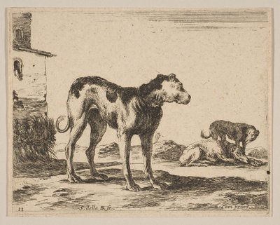 Tabliczka 11: psy, z różnych zwierząt Diversi animali, ca. 1641. autorstwa Stefano della Bella